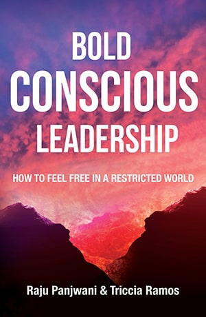 bold conscious leadership